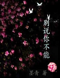 别说你不能:艾,需要印谋