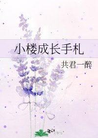 小楼成长手札