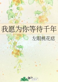 我愿为你等待千年