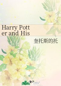 Harry Potter and His Veela