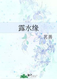 露水缘