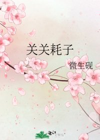 关关耗子