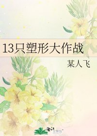 13只塑形大作战
