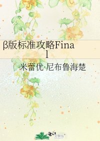 β版标准共略Final