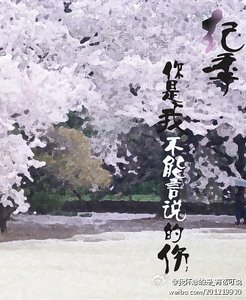 纪季,你是我不能言说的伤